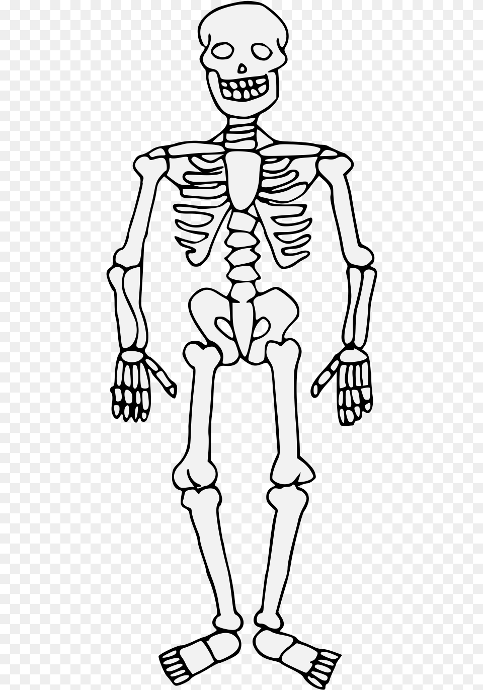 Colouring Pages Of Skeleton, Person, Face, Head Free Transparent Png