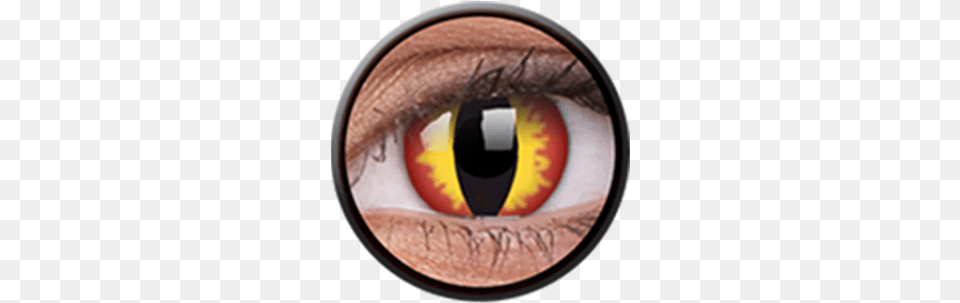 Colourvue Daily Disposable Crazy Lens Dragon Eyes Contact Lenses, Contact Lens Free Png
