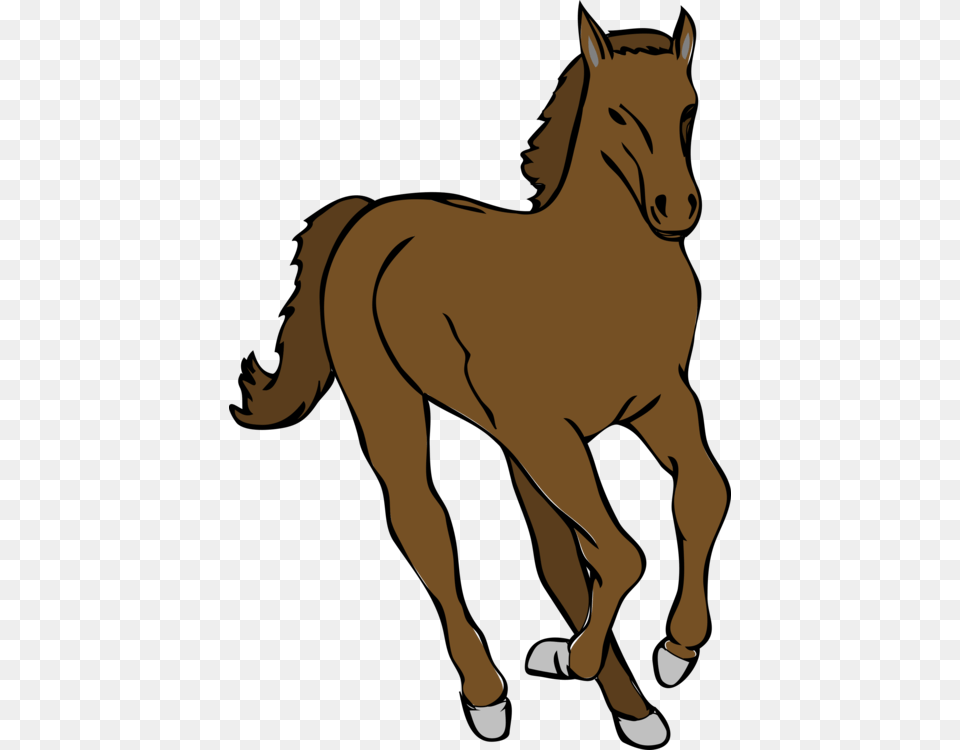 Colt Mustang Mare Foal Pony, Animal, Colt Horse, Horse, Mammal Free Png Download