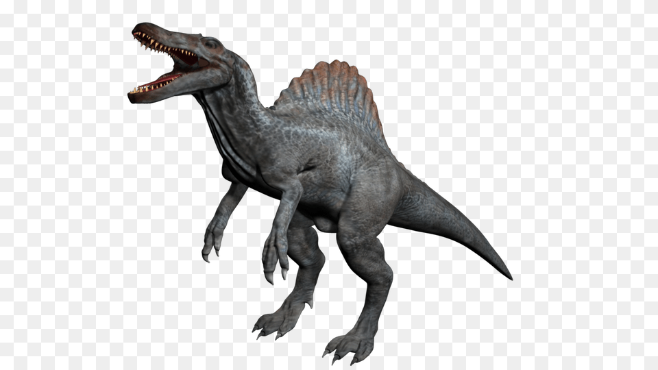 Colten Janssen Spinosaurus, Animal, Dinosaur, Reptile, T-rex Png