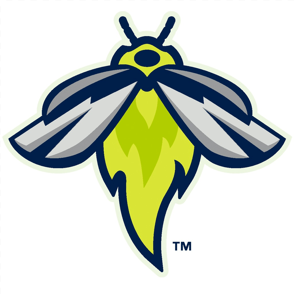 Columbia Fireflies, Animal, Bee, Insect, Invertebrate Free Transparent Png