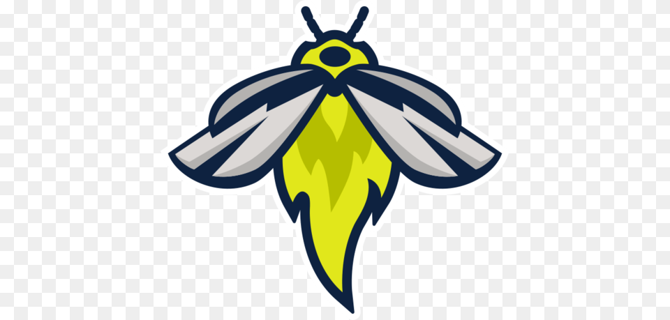 Columbia Fireflies Presents To Columbia Sc Entrepreneurs, Animal, Butterfly, Insect, Invertebrate Png Image