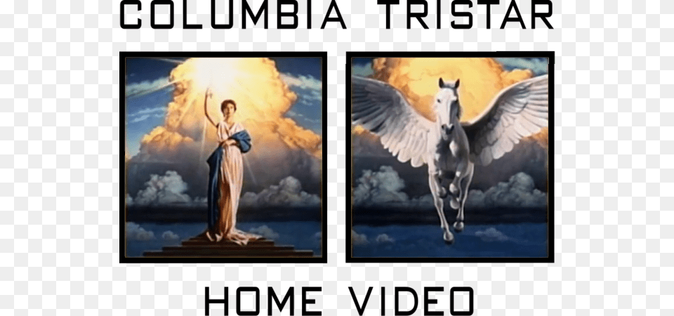 Columbia Tristar Home Video Print Logo Columbia Tristar Productions Australia, Adult, Female, Person, Woman Png Image