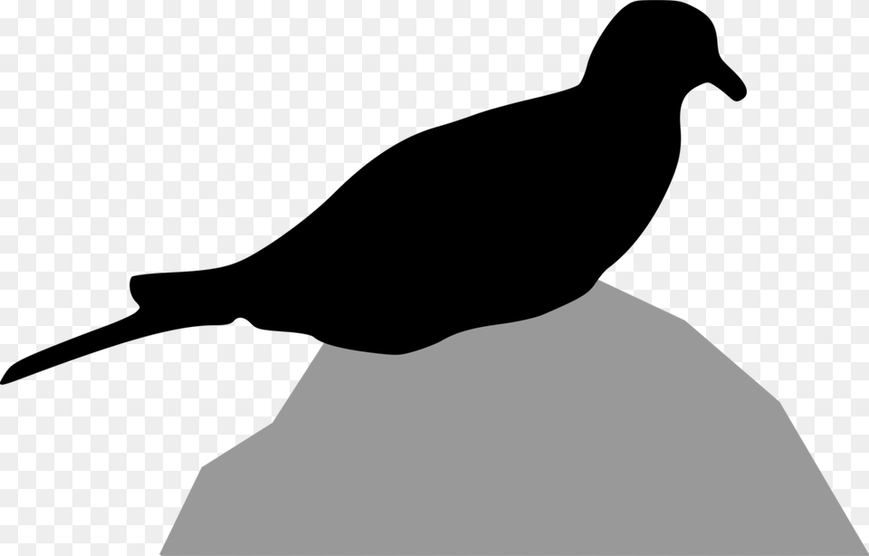 Columbidae Bird Mourning Dove European Turtle Dove Silhouette, Photography Free Png Download