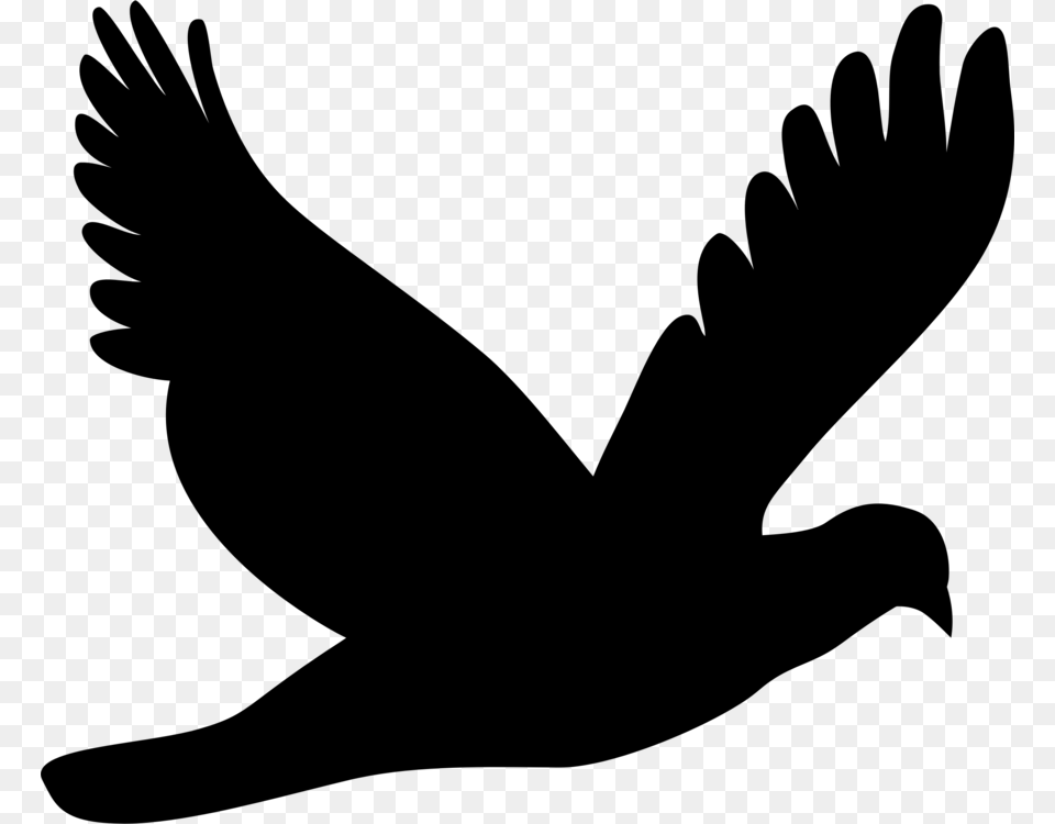 Columbidae Bird Silhouette Drawing Mourning Dove, Gray Png