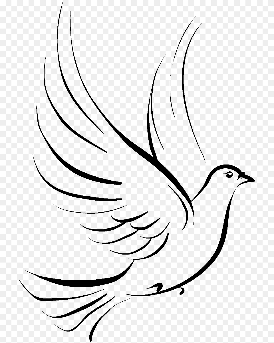 Columbidae Doves As Symbols Drawing Clip Art, Gray Free Png Download
