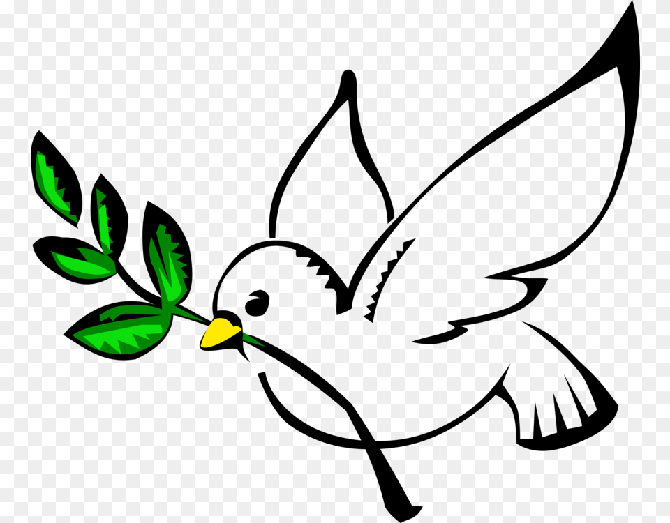 Columbidae Doves As Symbols Peace Olive Branch White Green, Leaf, Plant, Flower Free Png Download