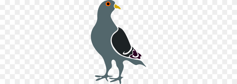 Columbidae Homing Pigeon Bird Drawing Black And White Free, Animal, Beak, Person, Dove Png Image