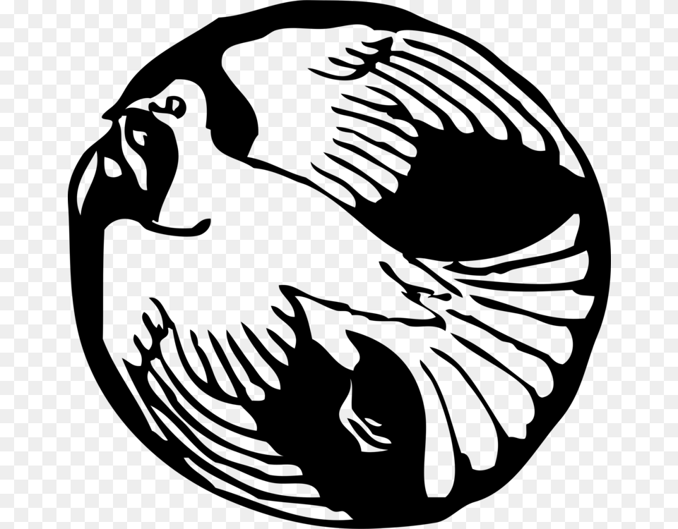 Columbidae Line Art Computer Icons Download Doves As Symbols Free, Gray Png