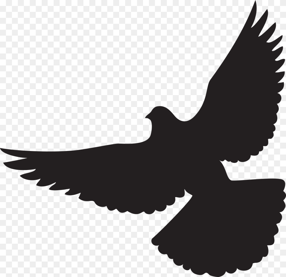 Columbidae Silhouette Clip Art, Animal, Bird, Pigeon, Dove Free Transparent Png