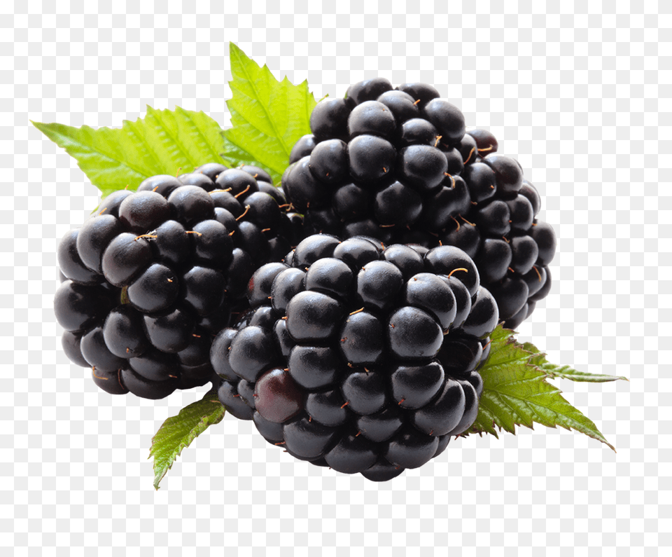 Com Berries By Xburntdoll Blackberry, Berry, Food, Fruit, Plant Free Png