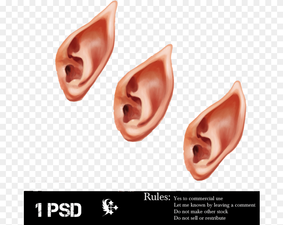 Com Elf Ear By Cela Elvish Ear, Body Part, Accessories, Earring, Jewelry Free Transparent Png
