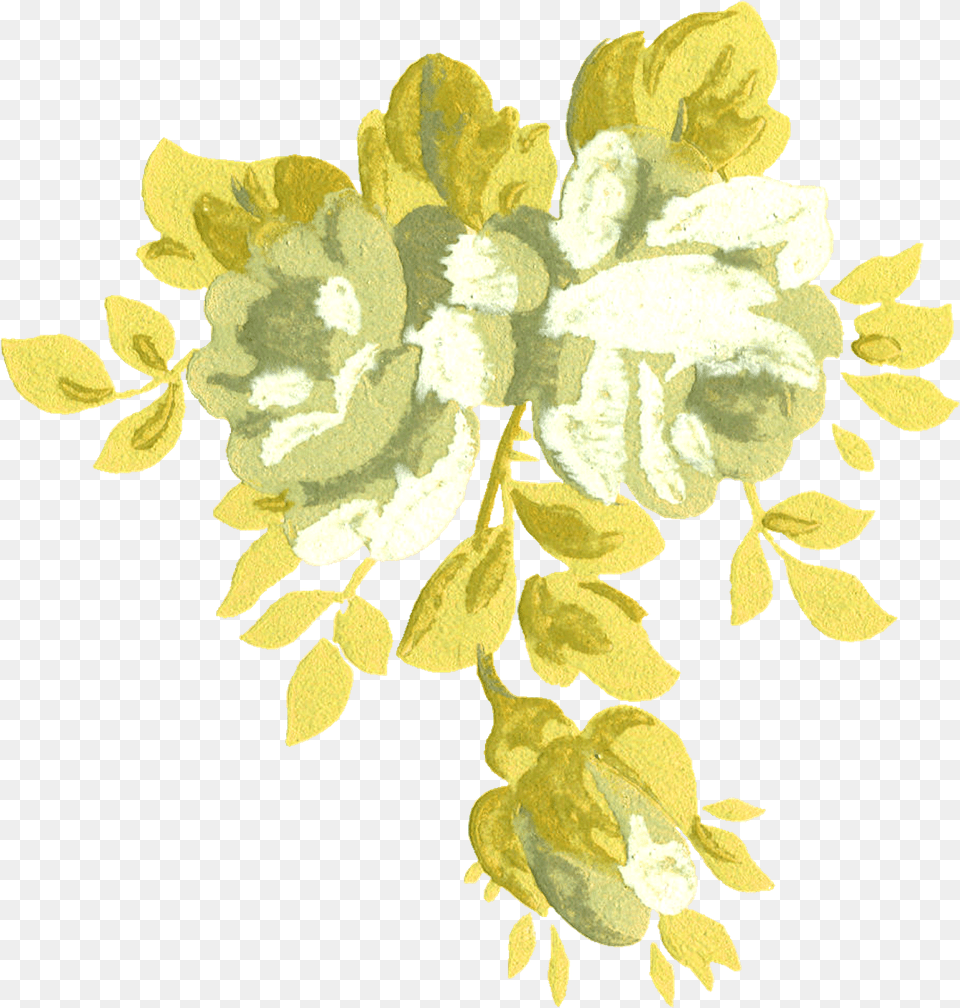 Com Selected Oh45 White Roses Floral Design, Art, Floral Design, Graphics, Pattern Free Transparent Png