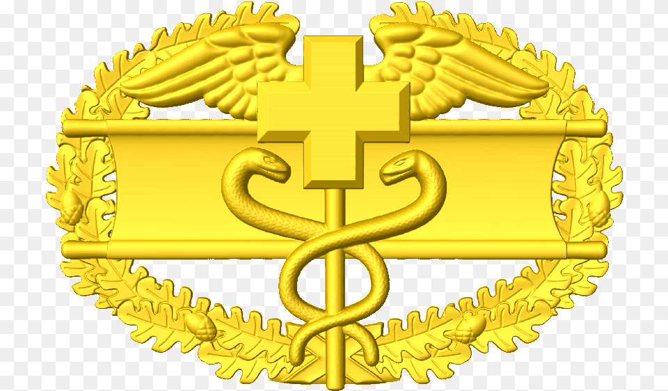 Combat Medic Badge Combat Medical Badge Gold, Logo, Symbol, Animal, Dinosaur Free Transparent Png