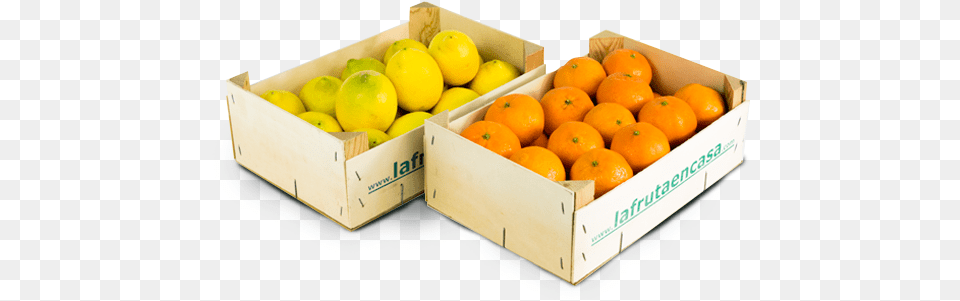 Combinacin De Limones Y Mandarinas, Citrus Fruit, Food, Fruit, Grapefruit Png Image