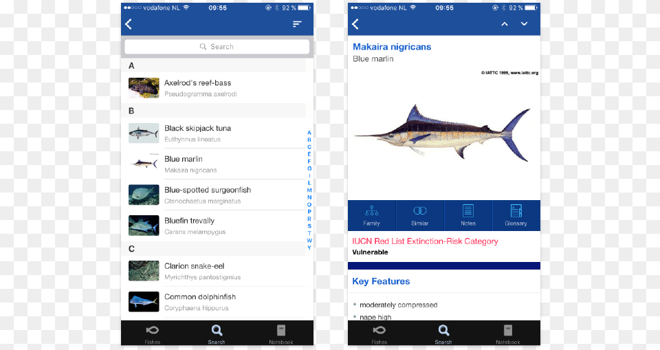 Combination Search Carcharhiniformes, Animal, Fish, Sea Life, Swordfish Free Png