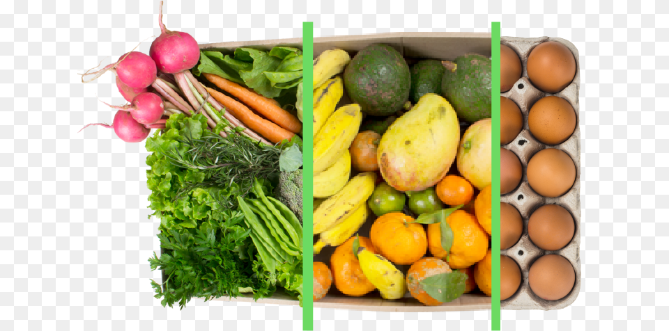 Combos Planos Co G 03 Cesta De Folhas Organicas, Citrus Fruit, Food, Fruit, Plant Free Png Download