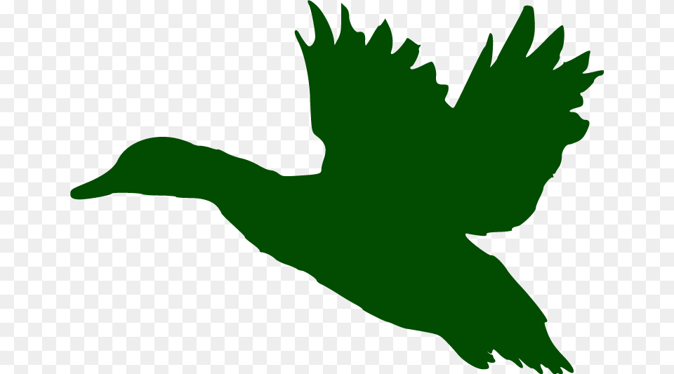 Come Hunt With Us Duck Flying Cut Out, Animal, Bird, Person, Waterfowl Png
