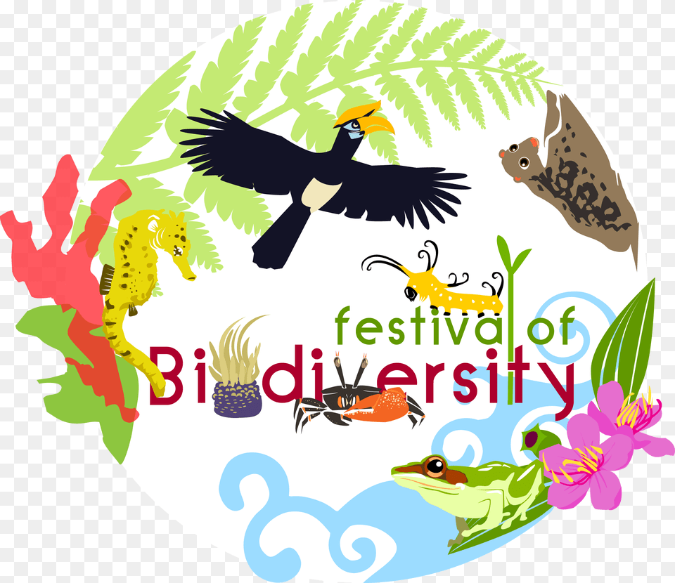 Come Join Us At The Festival Of Biodiversity, Animal, Bird, Blackbird, Baby Png Image