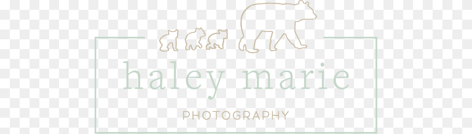 Come See Your Magic, White Board, Animal, Wildlife, Zoo Png