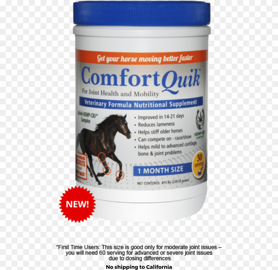 Comfort Quik Stallion, Animal, Horse, Mammal, Can Png