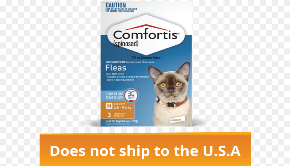 Comfortis Fleas Small Cat Treatment, Animal, Mammal, Pet, Siamese Png