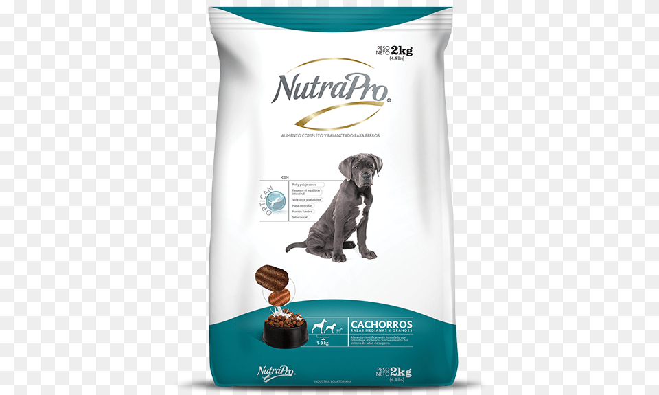 Comida De Perro Nutrapro, Advertisement, Animal, Canine, Dog Png Image