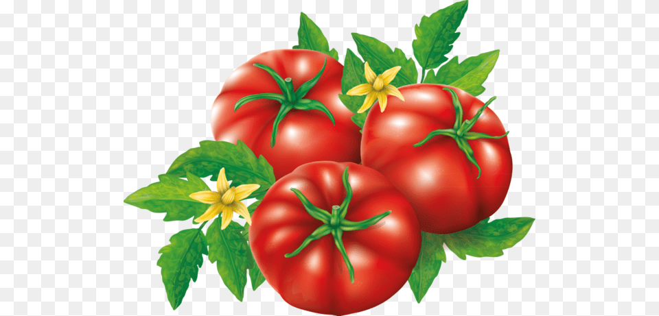 Comida Frutas Bebidas Etc Tomato, Food, Plant, Produce, Vegetable Free Png