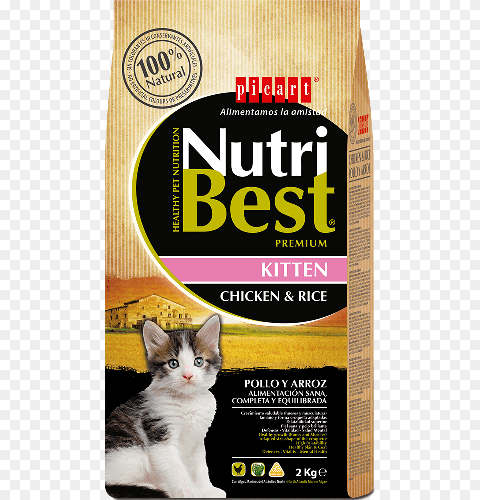 Comida Para Gatitos Nutribest Cat 2 Kg, Advertisement, Poster, Animal, Mammal Png