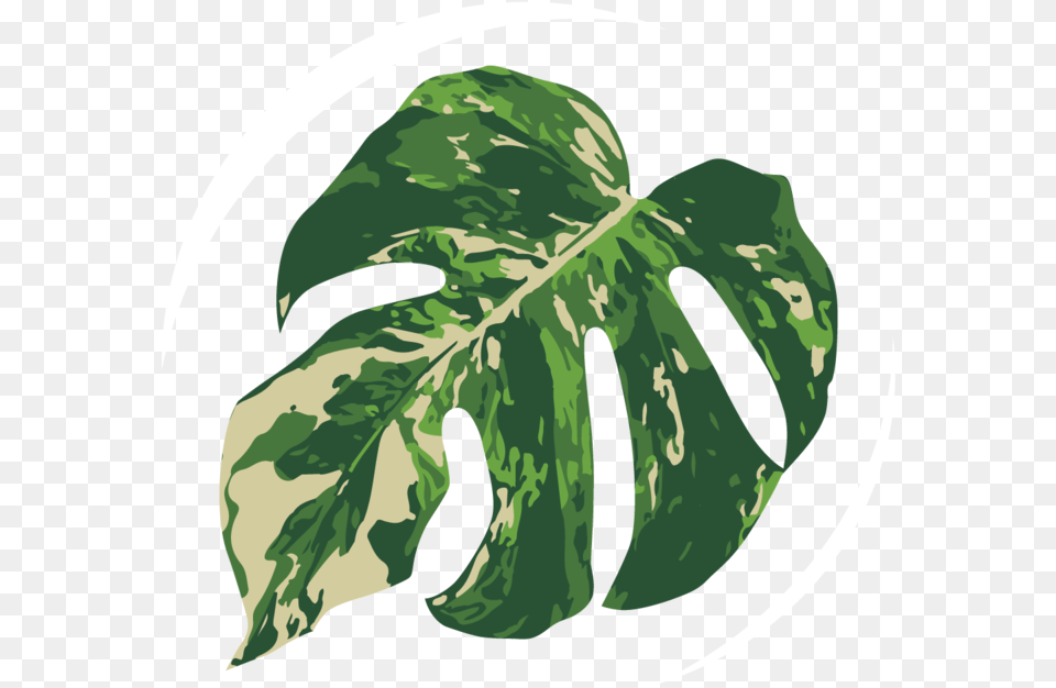 Coming Soon Image Icon, Leaf, Plant, Animal, Bear Free Transparent Png