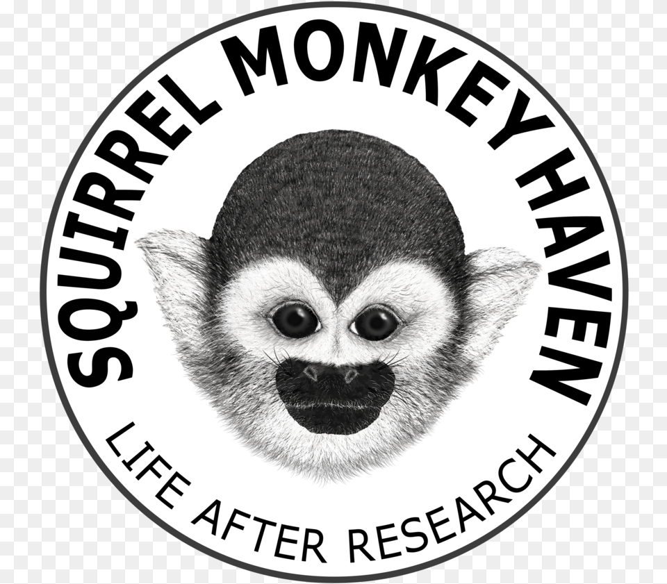 Coming Soon Monkey Face Sticker, Animal, Mammal, Wildlife, Logo Png