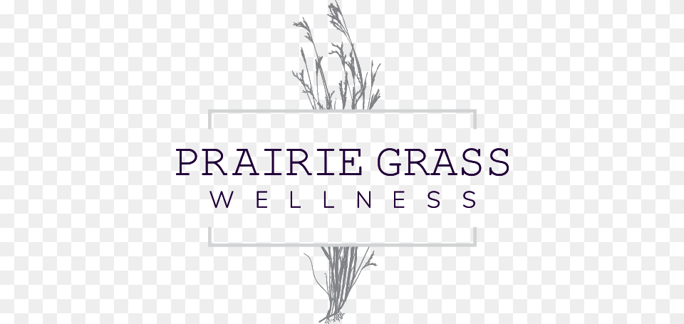 Coming Soon Phragmites, Grass, Plant, Book, Publication Free Transparent Png