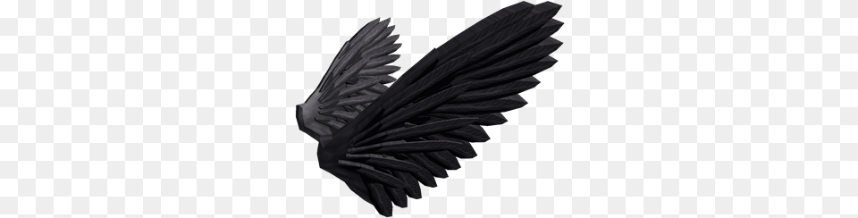 Commander Crows Wings Crow Wings, Animal, Bird, Vulture, Person Png