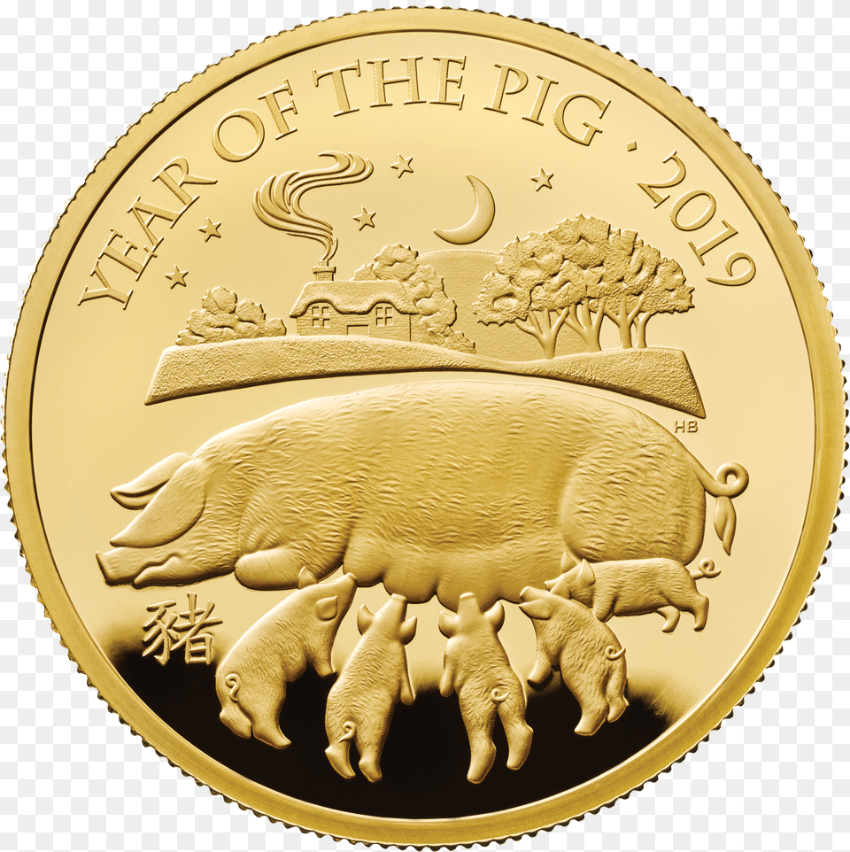 Commemorative Coins For 2019 Lunar Year Of The Pig Year Of Pig Coin, Bed, Bunk Bed, Furniture, Male Png Image