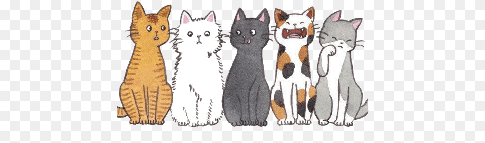 Comment On Which One You Would Be Cats Tumblr Transparent, Plush, Toy, Animal, Cat Png Image