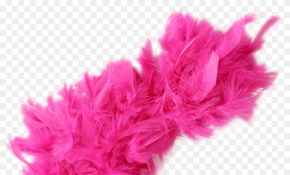 Comments Pink Boa, Accessories, Feather Boa, Flower, Plant Free Png