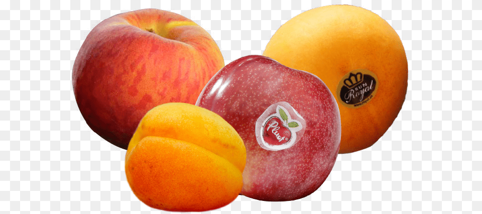 Commercial Department Apricot, Apple, Food, Fruit, Plant Free Transparent Png