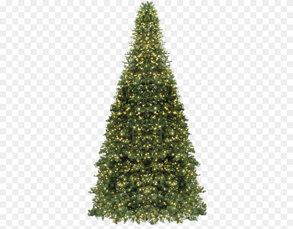 Commercial Frame Tower Treeclass Giant Christmas Tree, Plant, Christmas Decorations, Festival, Christmas Tree Free Png Download