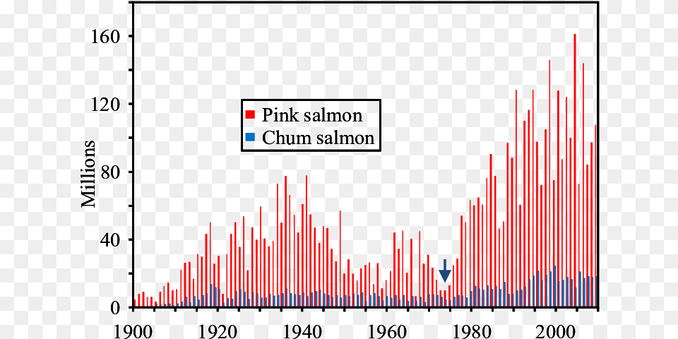 Commercial Harvest Of Alaska Pink And Chum Salmon Number, Chart, Scoreboard Free Png Download