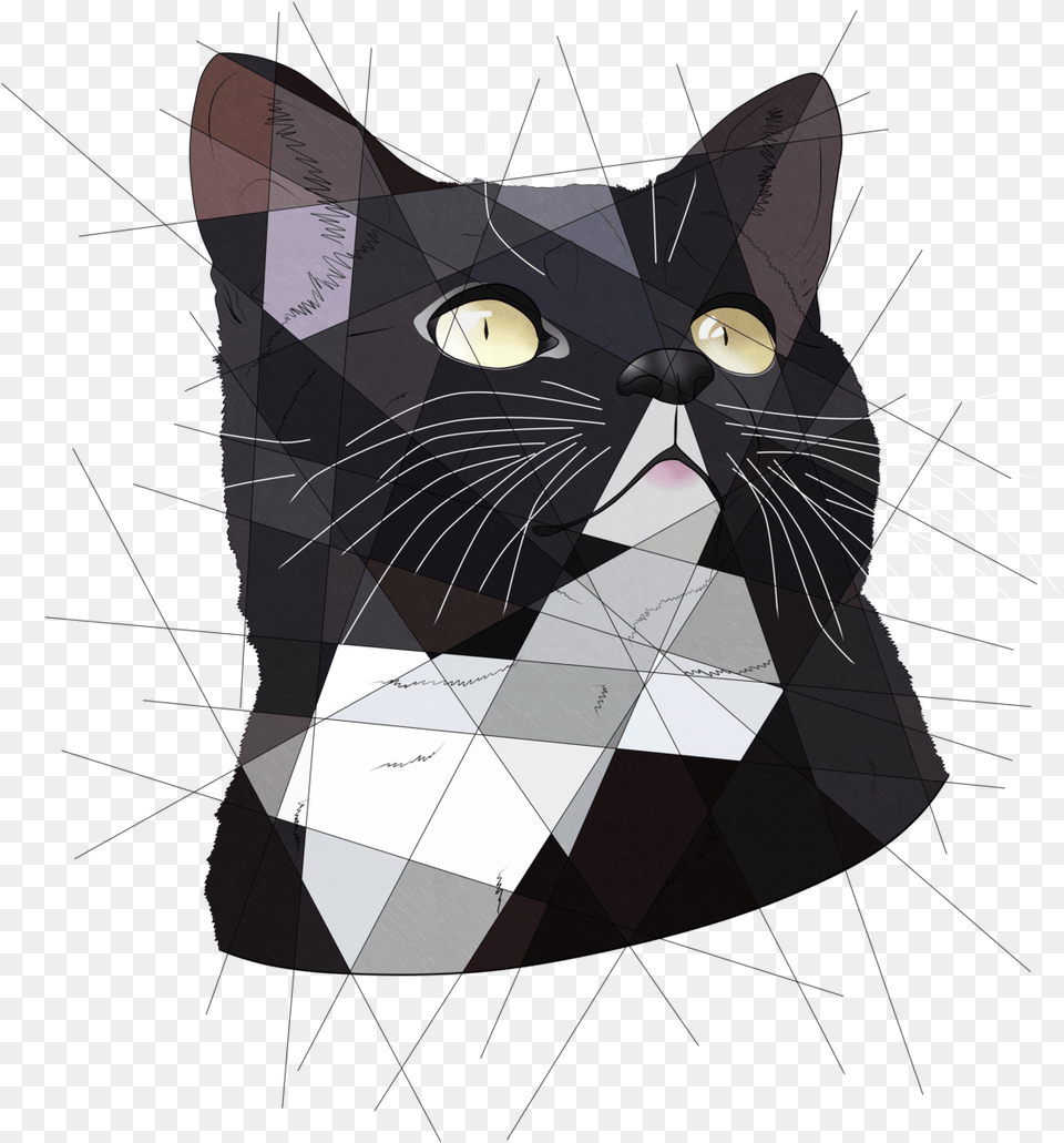Commission For Slytherinica Redbubble Society6 Portable Network Graphics, Animal, Cat, Mammal, Pet Free Png Download