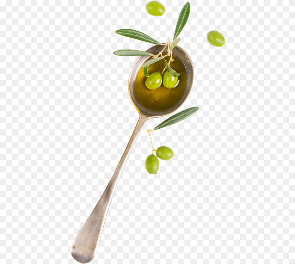 Committed To Providing Our Customers The Finest Olive, Cutlery, Leaf, Plant, Spoon Png