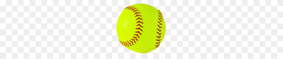 Committee, Ball, Baseball, Baseball (ball), Sport Png
