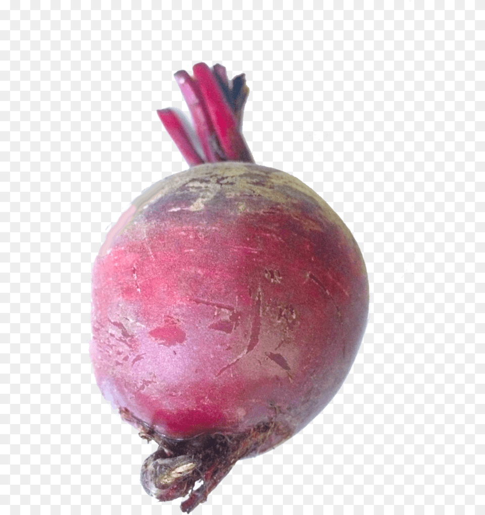 Common Beet Download Beetroot, Food, Produce, Vegetable, Turnip Free Transparent Png