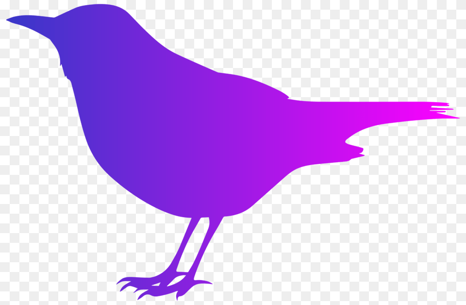 Common Blackbird Silhouette Drawing, Animal, Bird, Person, Jay Free Transparent Png
