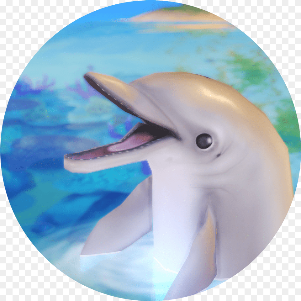 Common Bottlenose Dolphin, Animal, Mammal, Sea Life, Fish Free Png Download