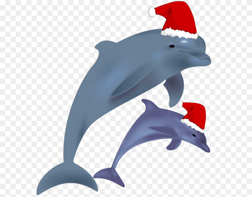 Common Bottlenose Dolphin Jumping Clip Art Christmas Drawing, Animal, Mammal, Sea Life, Fish Free Png Download