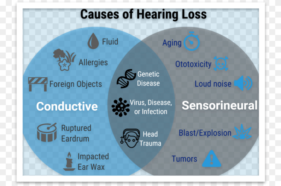 Common Causes Hearing Loss Hearing Loss Causes, Diagram, Venn Diagram Png