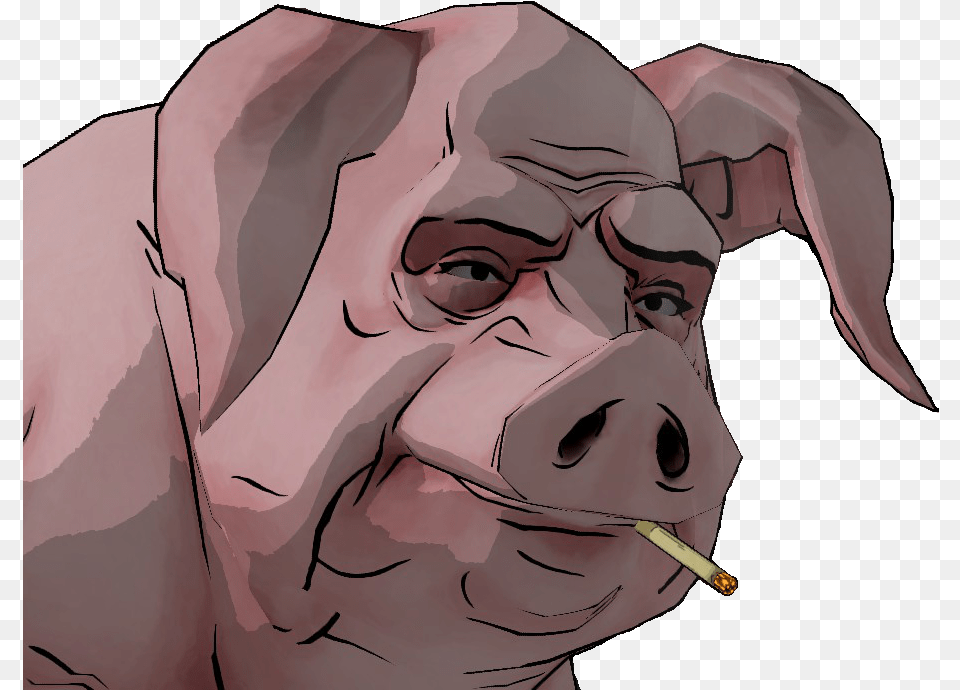 Common Chimpanzee, Head, Person, Face, Adult Free Transparent Png
