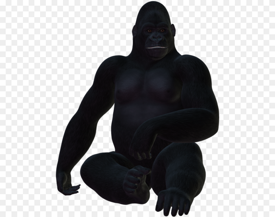 Common Chimpanzee, Animal, Ape, Mammal, Wildlife Free Transparent Png