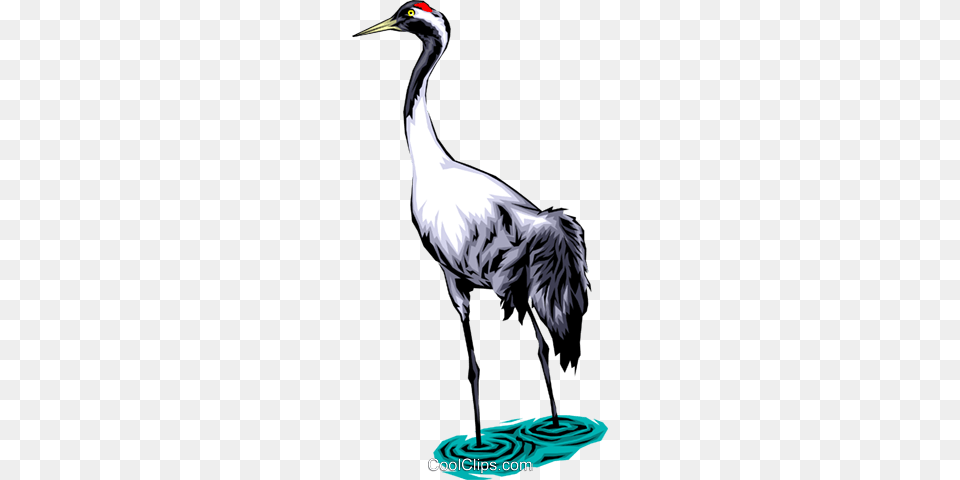 Common Crane Royalty Vector Clip Art Illustration, Animal, Bird, Crane Bird, Waterfowl Free Png Download